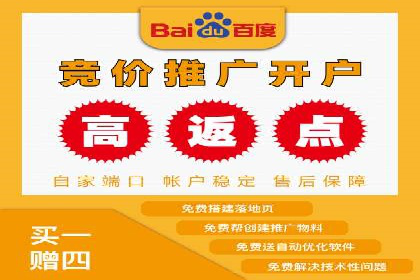 电商SEM推广案例解析